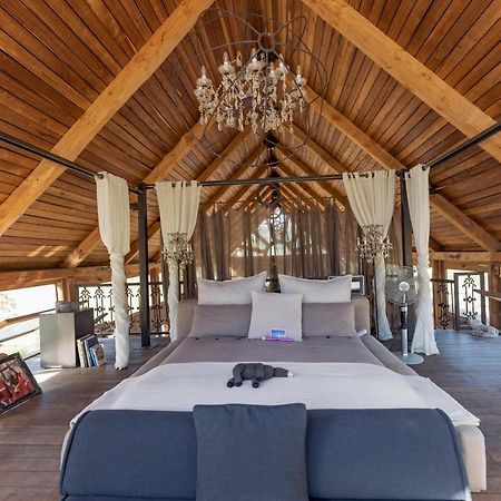 Hotel Inspiring Farm Sanctuary And Famous Painting Pig Franschhoek Exteriér fotografie