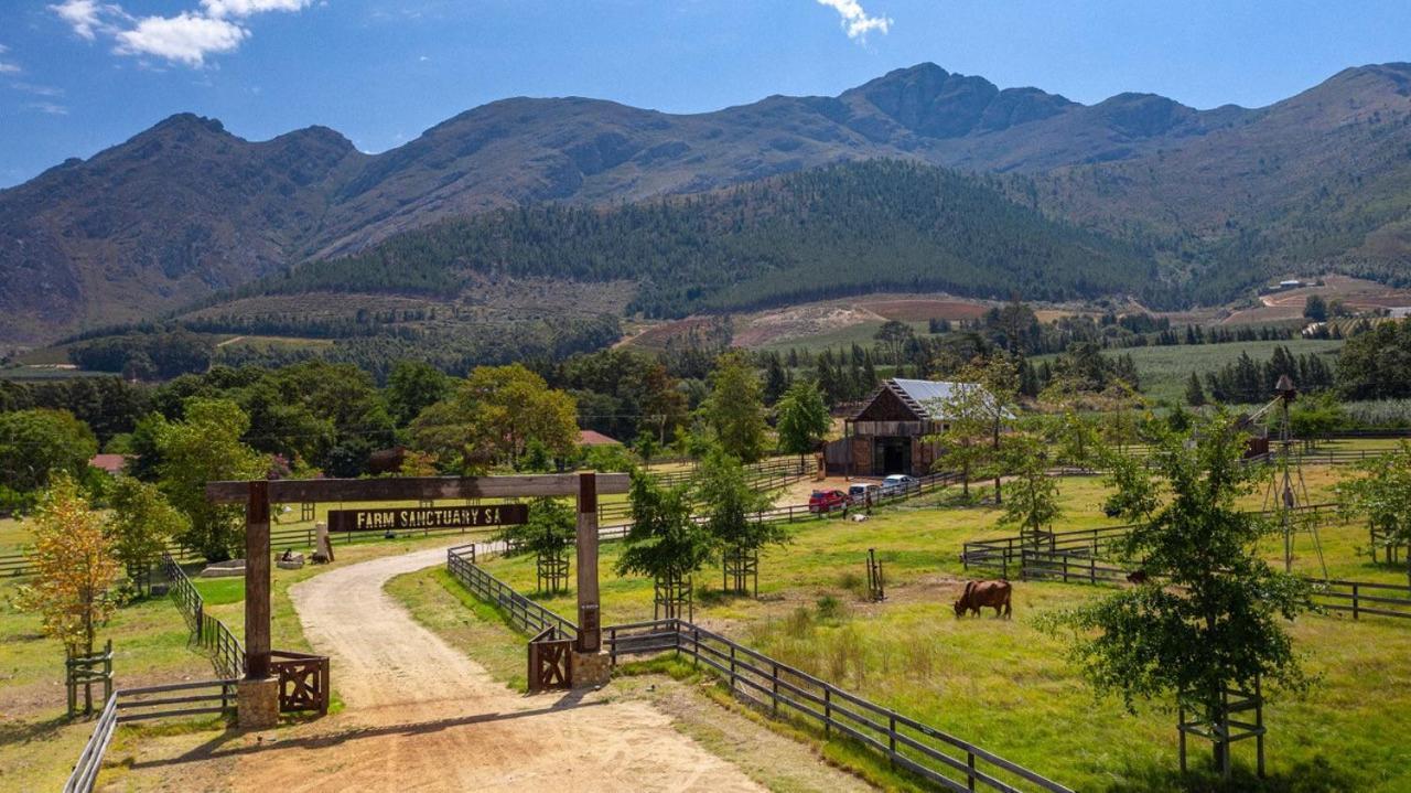 Hotel Inspiring Farm Sanctuary And Famous Painting Pig Franschhoek Exteriér fotografie