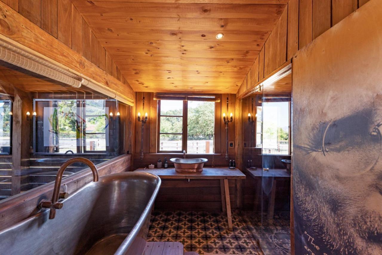 Hotel Inspiring Farm Sanctuary And Famous Painting Pig Franschhoek Exteriér fotografie