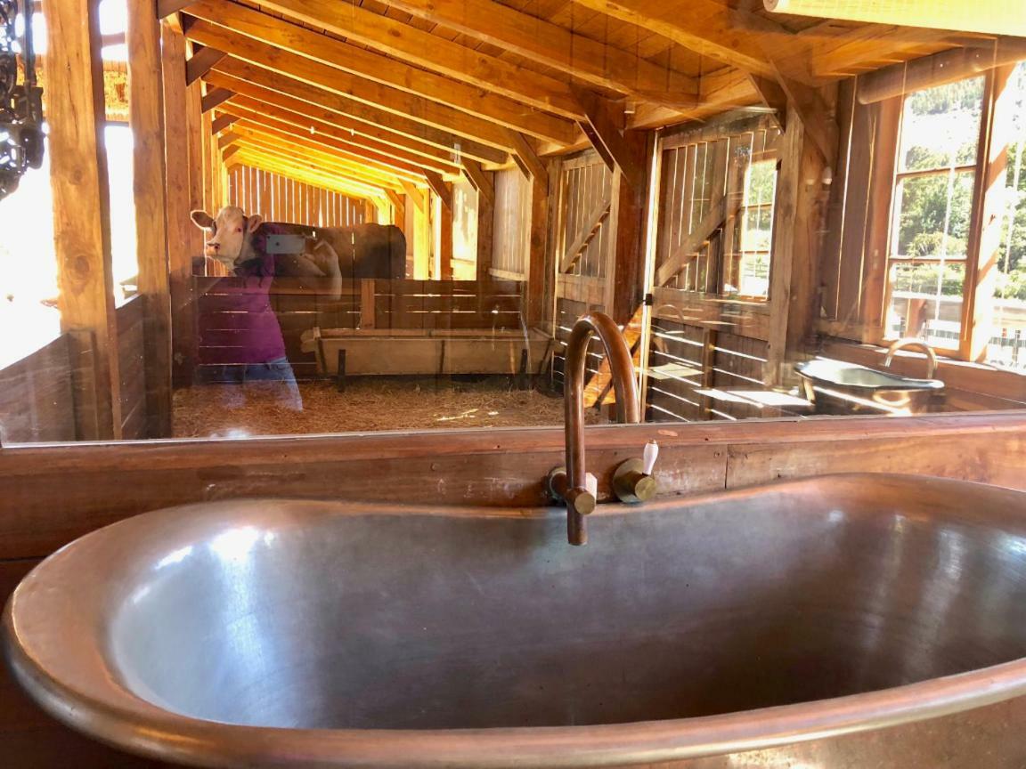 Hotel Inspiring Farm Sanctuary And Famous Painting Pig Franschhoek Exteriér fotografie